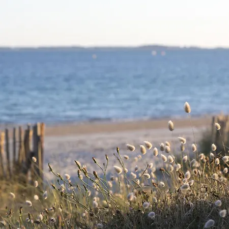 Appartamento Le Britannia-2 By Interhome Carnac
